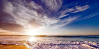 Ile kosztuje pianka akustyczna?